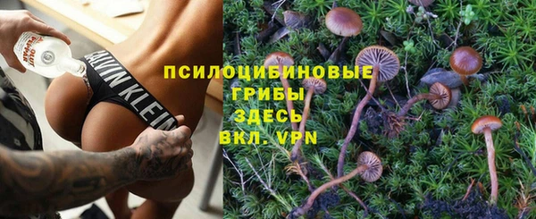 шишки Сосновка