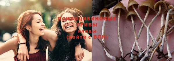 твердый Белоозёрский