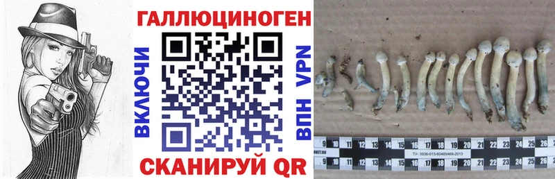 Псилоцибиновые грибы мухоморы  купить наркотики сайты  Гаврилов-Ям 